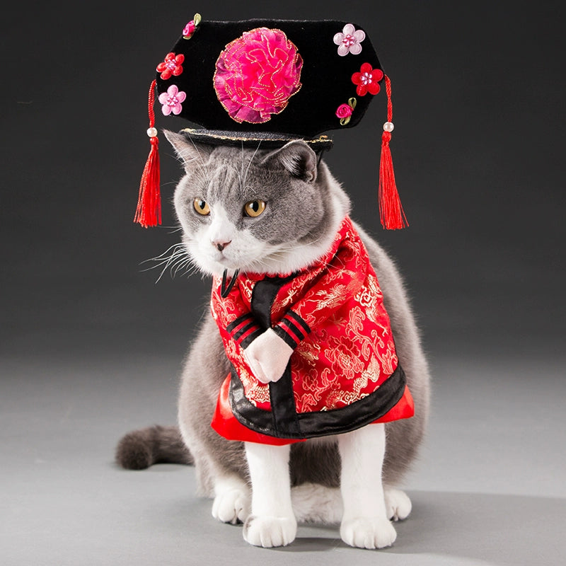 Cat Transformation Funny Pet Upright Pet Costume Cat Clothes Dog Funny Cat British Shorthair Cute Thin Summer Clothing