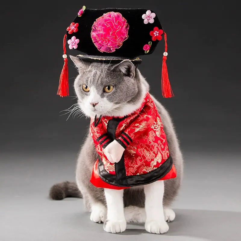 Cat Transformation Funny Pet Upright Pet Costume Cat Clothes Dog Funny Cat British Shorthair Cute Thin Summer Clothing - Nova Trendz
