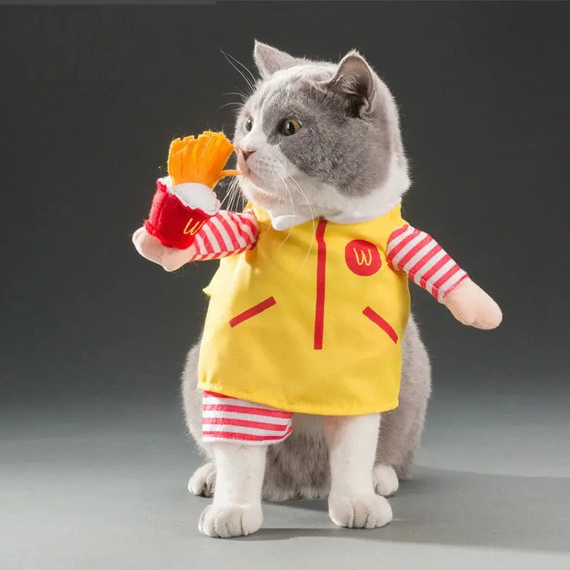 Cat Transformation Funny Pet Upright Pet Costume Cat Clothes Dog Funny Cat British Shorthair Cute Thin Summer Clothing - Nova Trendz