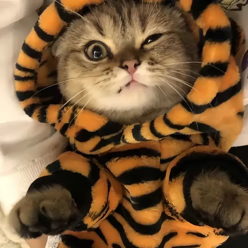 Cat Clothes Tiger Outfit Thermal Cotton-Padded Clothes Kitten Blue Cat British Shorthair Muppet Autumn and Winter Pet Dog Four-Legged Clothes Nova Trendz