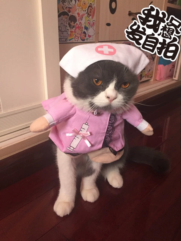Cat Clothes Dog Clothes Teddy British Shorthair Pet Costume Funny Selling Cute Upright Pet Costume Spring and Summer Clothes Hot