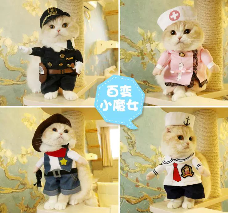 Cat Clothes Dog Clothes Teddy British Shorthair Pet Costume Funny Selling Cute Upright Pet Costume Spring and Summer Clothes Hot
