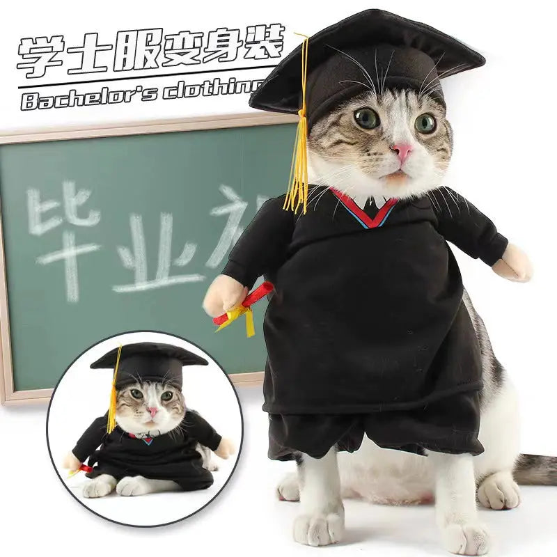 Cat Transformation Funny Pet Upright Pet Costume Cat Clothes Dog Funny Cat British Shorthair Cute Thin Summer Clothing - Nova Trendz
