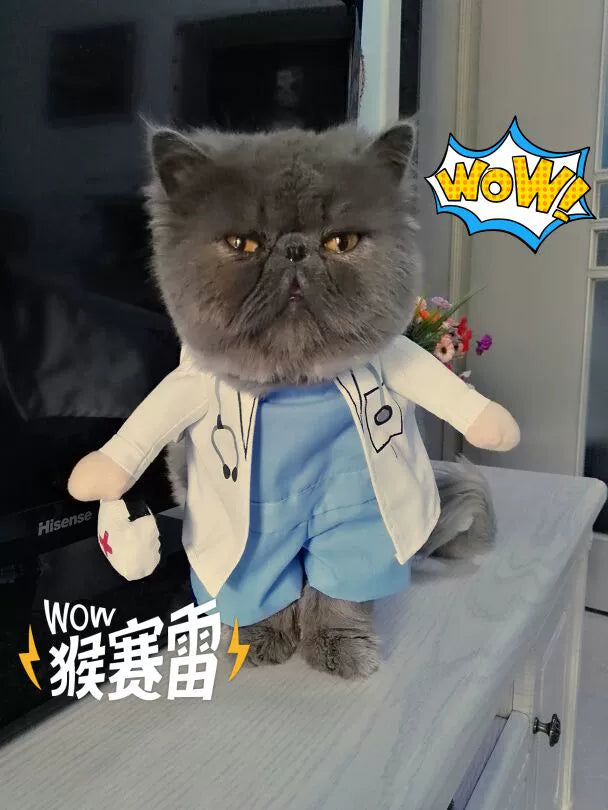 Cat Clothes Dog Clothes Teddy British Shorthair Pet Costume Funny Selling Cute Upright Pet Costume Spring and Summer Clothes Hot