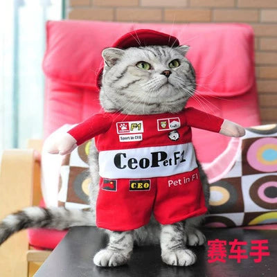 Cat Clothes Dog Clothes Teddy British Shorthair Pet Costume Funny Selling Cute Upright Pet Costume Spring and Summer Clothes Hot