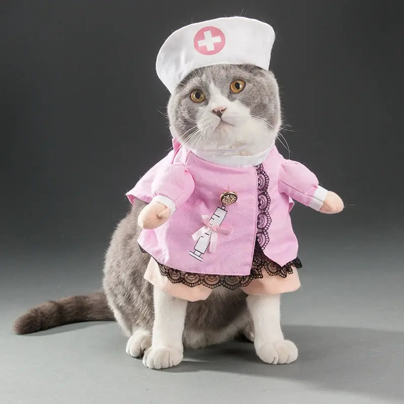 Cat Transformation Funny Pet Upright Pet Costume Cat Clothes Dog Funny Cat British Shorthair Cute Thin Summer Clothing - Nova Trendz