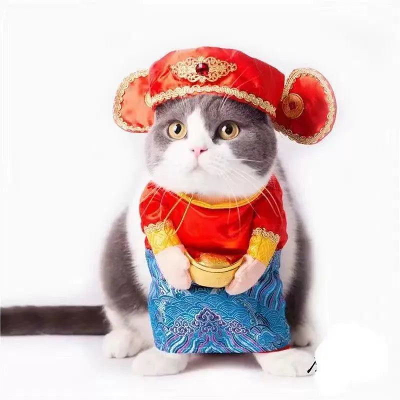Cat Transformation Funny Pet Upright Pet Costume Cat Clothes Dog Funny Cat British Shorthair Cute Thin Summer Clothing - Nova Trendz