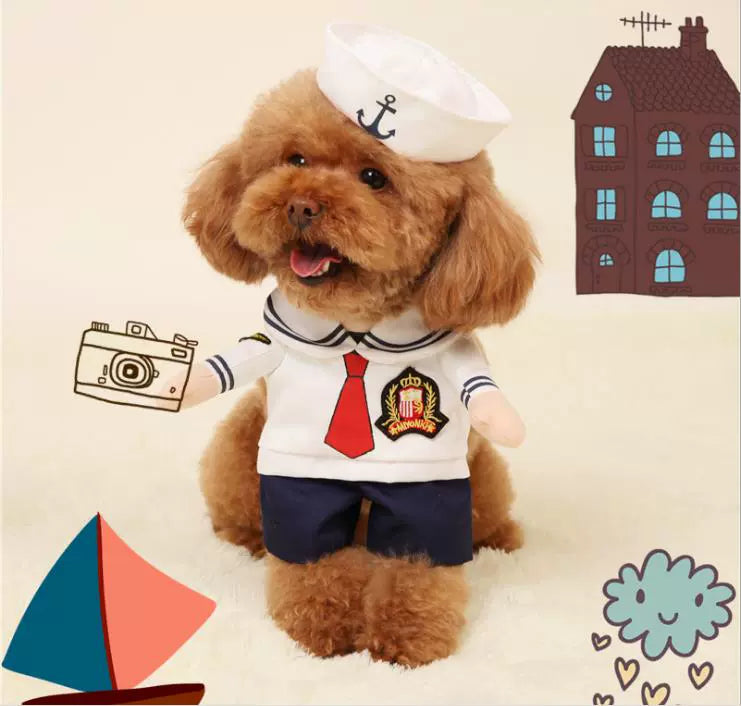 Cat Clothes Dog Clothes Teddy British Shorthair Pet Costume Funny Selling Cute Upright Pet Costume Spring and Summer Clothes Hot