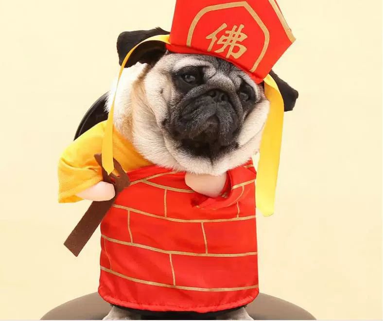Cat Clothes Dog Clothes Teddy British Shorthair Pet Costume Funny Selling Cute Upright Pet Costume Spring and Summer Clothes Hot