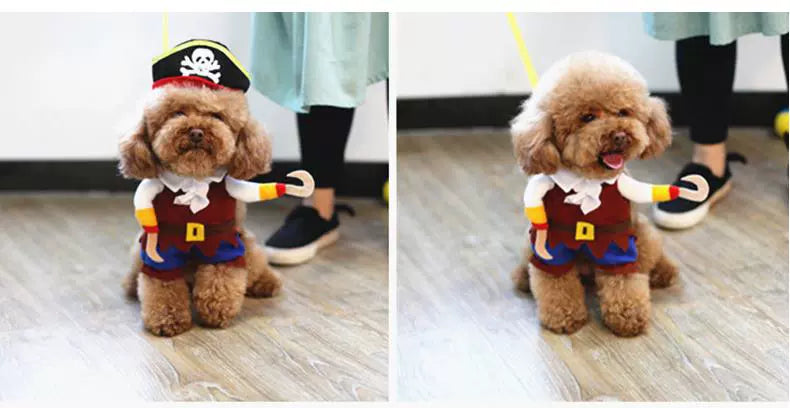 Cat Clothes Dog Clothes Teddy British Shorthair Pet Costume Funny Selling Cute Upright Pet Costume Spring and Summer Clothes Hot