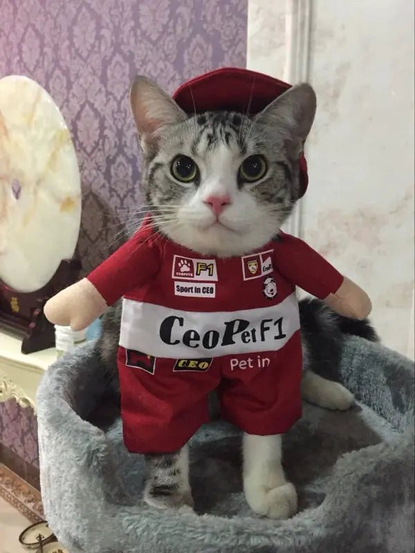 Cat Clothes Dog Clothes Teddy British Shorthair Pet Costume Funny Selling Cute Upright Pet Costume Spring and Summer Clothes Hot - Nova Trendz