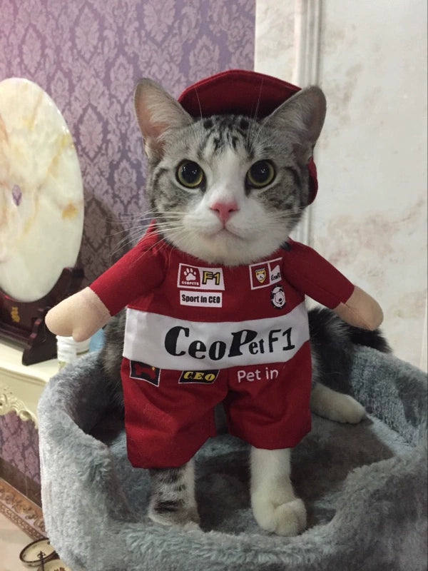 Cat Clothes Dog Clothes Teddy British Shorthair Pet Costume Funny Selling Cute Upright Pet Costume Spring and Summer Clothes Hot
