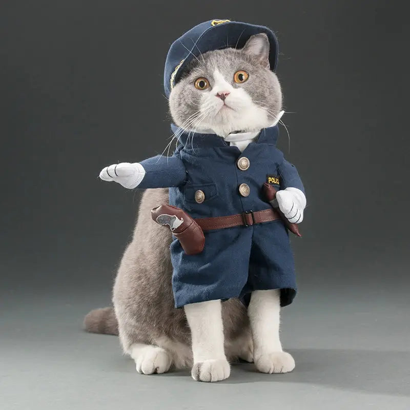 Cat Transformation Funny Pet Upright Pet Costume Cat Clothes Dog Funny Cat British Shorthair Cute Thin Summer Clothing - Nova Trendz