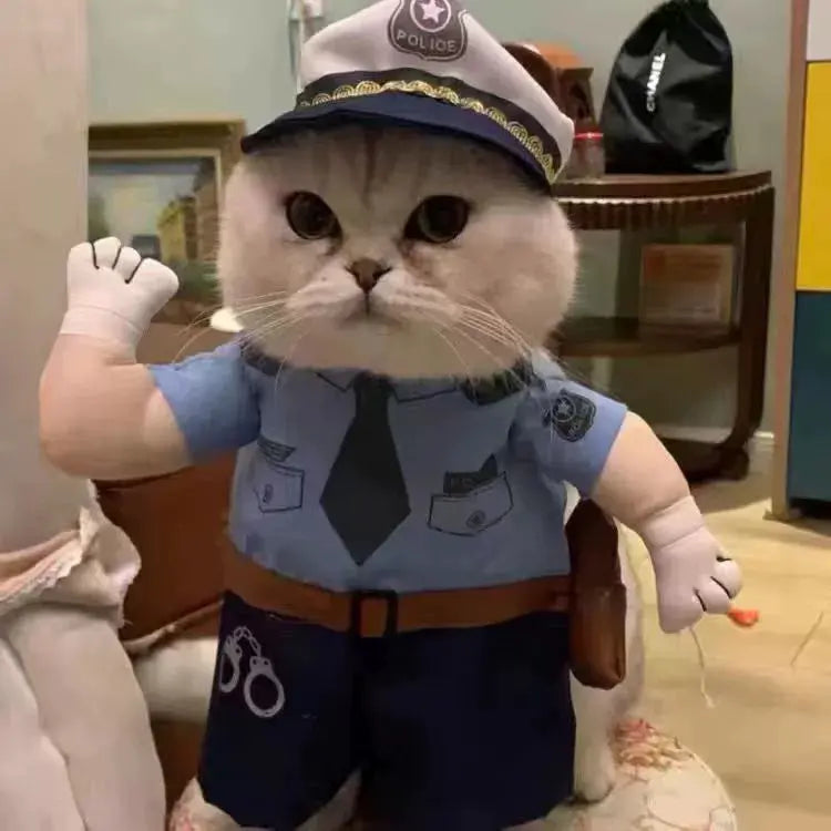 Cat Transformation Funny Pet Upright Pet Costume Cat Clothes Dog Funny Cat British Shorthair Cute Thin Summer Clothing - Nova Trendz