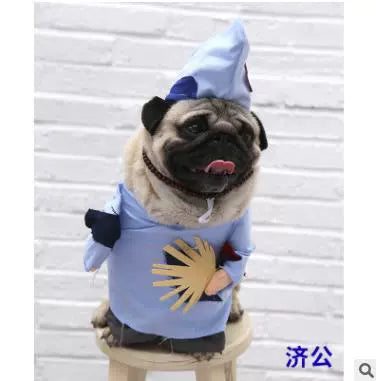 Cat Clothes Dog Clothes Teddy British Shorthair Pet Costume Funny Selling Cute Upright Pet Costume Spring and Summer Clothes Hot