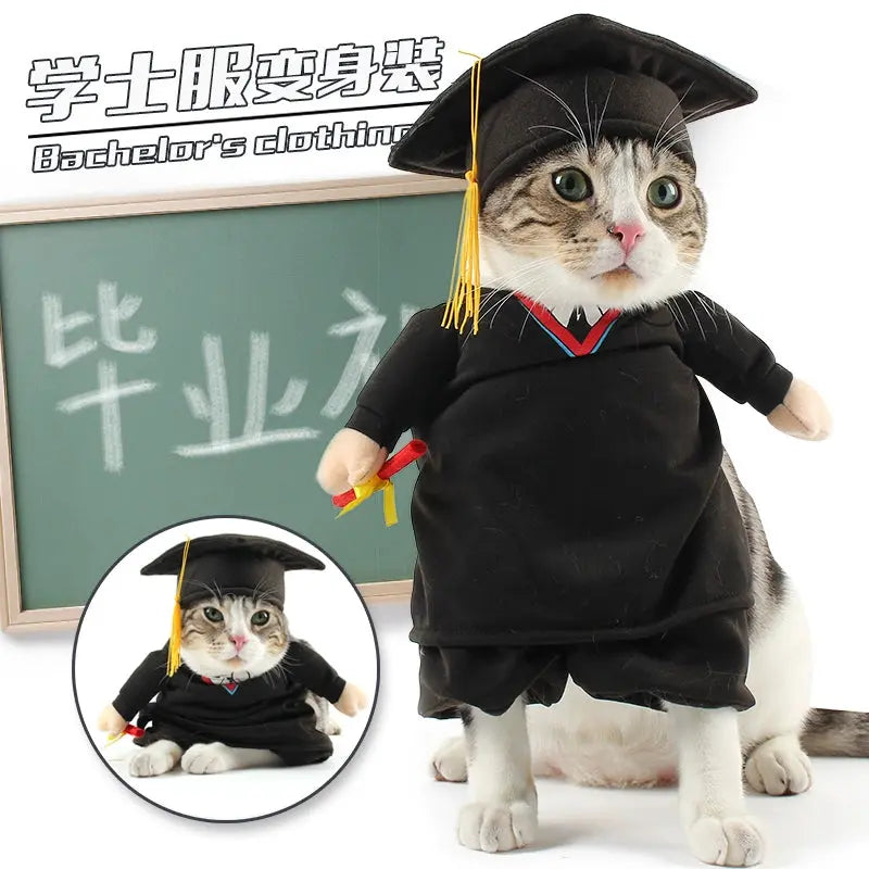 Cat Transformation Funny Pet Upright Pet Costume Cat Clothes Dog Funny Cat British Shorthair Cute Thin Summer Clothing - Nova Trendz