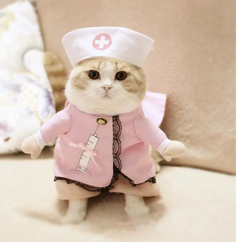 Cat Transformation Funny Pet Upright Pet Costume Cat Clothes Dog Funny Cat British Shorthair Cute Thin Summer Clothing - Nova Trendz