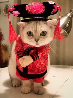 Cat Clothes Dog Clothes Teddy British Shorthair Pet Costume Funny Selling Cute Upright Pet Costume Spring and Summer Clothes Hot