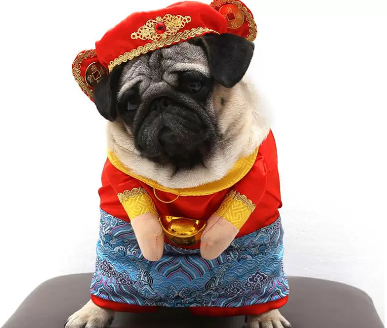 Cat Clothes Dog Clothes Teddy British Shorthair Pet Costume Funny Selling Cute Upright Pet Costume Spring and Summer Clothes Hot