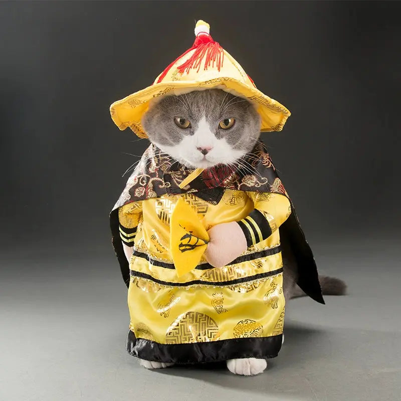 Cat Transformation Funny Pet Upright Pet Costume Cat Clothes Dog Funny Cat British Shorthair Cute Thin Summer Clothing - Nova Trendz