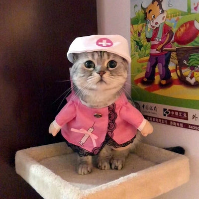 Cat Clothes Dog Clothes Teddy British Shorthair Pet Costume Funny Selling Cute Upright Pet Costume Spring and Summer Clothes Hot