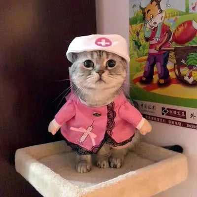 Cat Clothes Dog Clothes Teddy British Shorthair Pet Costume Funny Selling Cute Upright Pet Costume Spring and Summer Clothes Hot - Nova Trendz
