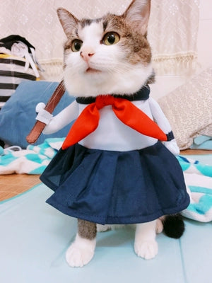 Cat Clothes Dog Clothes Teddy British Shorthair Pet Costume Funny Selling Cute Upright Pet Costume Spring and Summer Clothes Hot