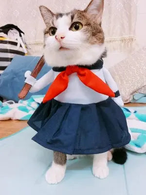 Cat Clothes Dog Clothes Teddy British Shorthair Pet Costume Funny Selling Cute Upright Pet Costume Spring and Summer Clothes Hot - Nova Trendz
