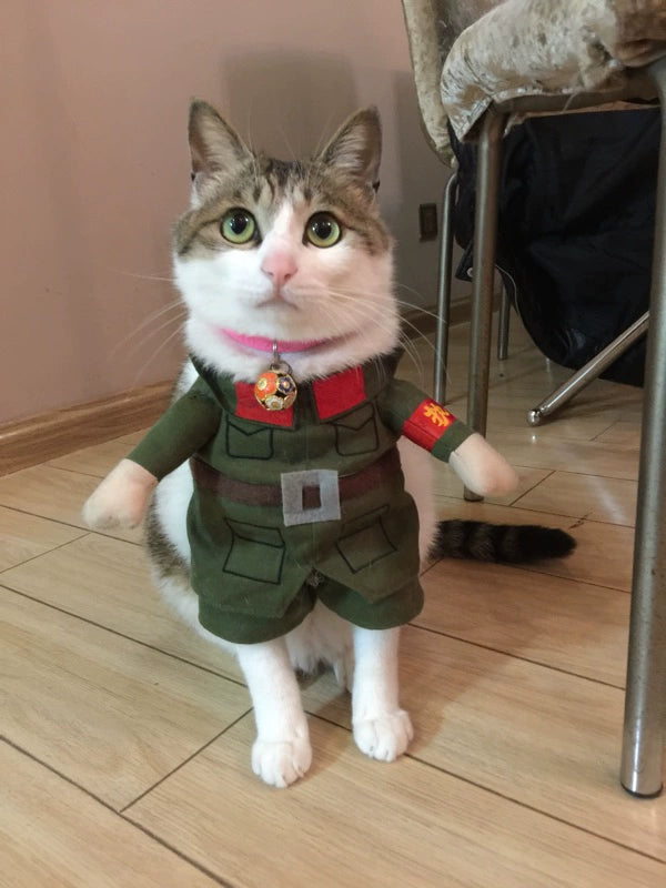 Cat Clothes Dog Clothes Teddy British Shorthair Pet Costume Funny Selling Cute Upright Pet Costume Spring and Summer Clothes Hot
