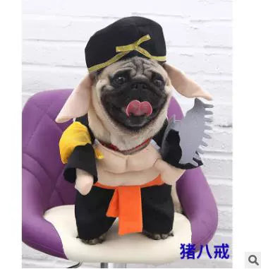Cat Clothes Dog Clothes Teddy British Shorthair Pet Costume Funny Selling Cute Upright Pet Costume Spring and Summer Clothes Hot