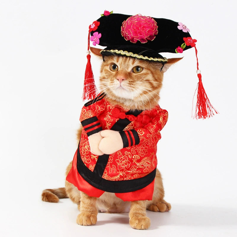 Cat Clothes Dog Clothes Teddy British Shorthair Pet Costume Funny Selling Cute Upright Pet Costume Spring and Summer Clothes Hot