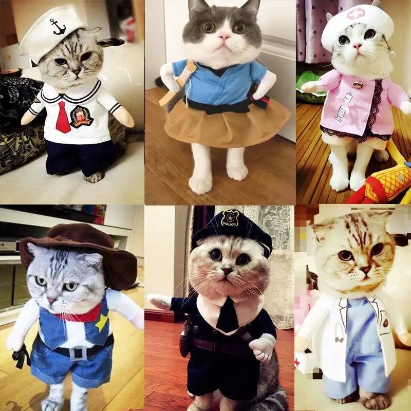 Cat Clothes Dog Clothes Teddy British Shorthair Pet Costume Funny Selling Cute Upright Pet Costume Spring and Summer Clothes Hot - Nova Trendz