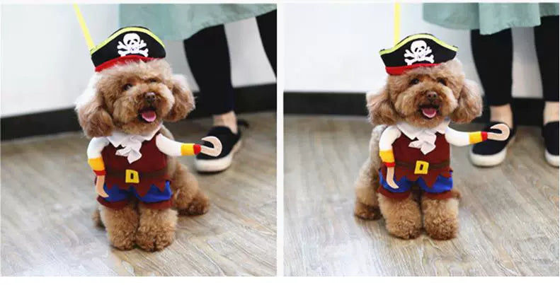 Cat Clothes Dog Clothes Teddy British Shorthair Pet Costume Funny Selling Cute Upright Pet Costume Spring and Summer Clothes Hot