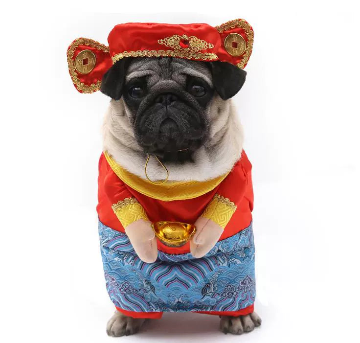 Cat Clothes Dog Clothes Teddy British Shorthair Pet Costume Funny Selling Cute Upright Pet Costume Spring and Summer Clothes Hot
