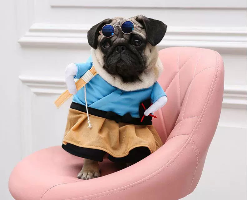 Cat Clothes Dog Clothes Teddy British Shorthair Pet Costume Funny Selling Cute Upright Pet Costume Spring and Summer Clothes Hot