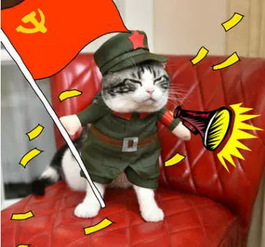 Cat Clothes Dog Clothes Teddy British Shorthair Pet Costume Funny Selling Cute Upright Pet Costume Spring and Summer Clothes Hot