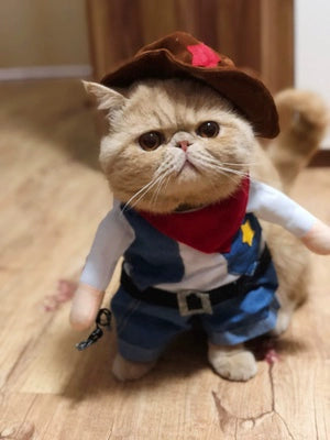 Cat Clothes Dog Clothes Teddy British Shorthair Pet Costume Funny Selling Cute Upright Pet Costume Spring and Summer Clothes Hot