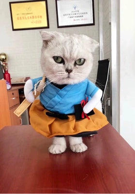 Cat Clothes Dog Clothes Teddy British Shorthair Pet Costume Funny Selling Cute Upright Pet Costume Spring and Summer Clothes Hot