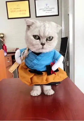 Cat Clothes Dog Clothes Teddy British Shorthair Pet Costume Funny Selling Cute Upright Pet Costume Spring and Summer Clothes Hot - Nova Trendz