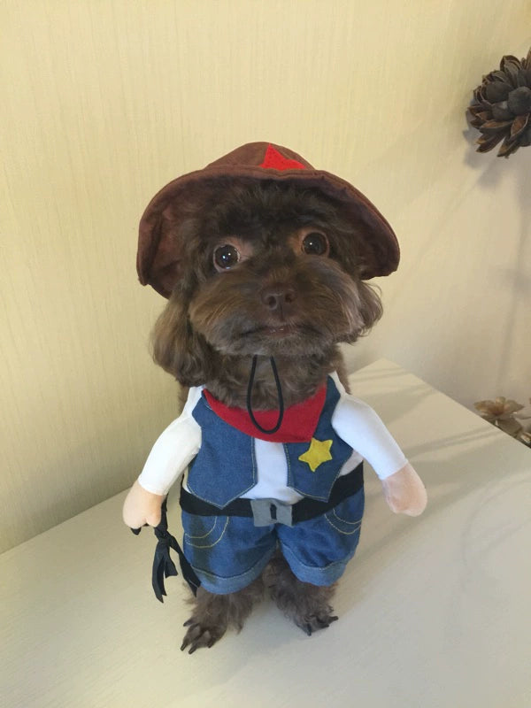 Cat Clothes Dog Clothes Teddy British Shorthair Pet Costume Funny Selling Cute Upright Pet Costume Spring and Summer Clothes Hot