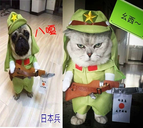 Cat Clothes Dog Clothes Teddy British Shorthair Pet Costume Funny Selling Cute Upright Pet Costume Spring and Summer Clothes Hot