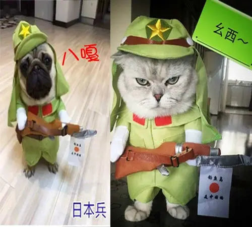 Cat Clothes Dog Clothes Teddy British Shorthair Pet Costume Funny Selling Cute Upright Pet Costume Spring and Summer Clothes Hot - Nova Trendz