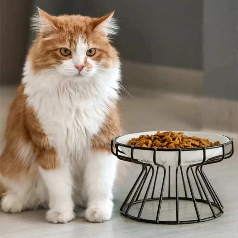 Ceramic For Dog Cat Puppy Kitten Elevated Cat Feeder Drinker Pet Feeder Bowl Pet Supplies Cat Food Bowl Water Feeder Container Nova Trendz