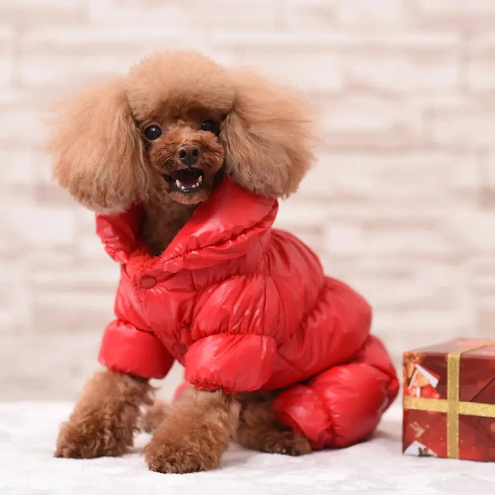 Warm Dog Clothes For French Bulldog Pug Chihuahua Yorkies Clothes Winter Pet Puppy Coat Jacket Dogs Pets Clothing Ropa Perro Nova Trendz
