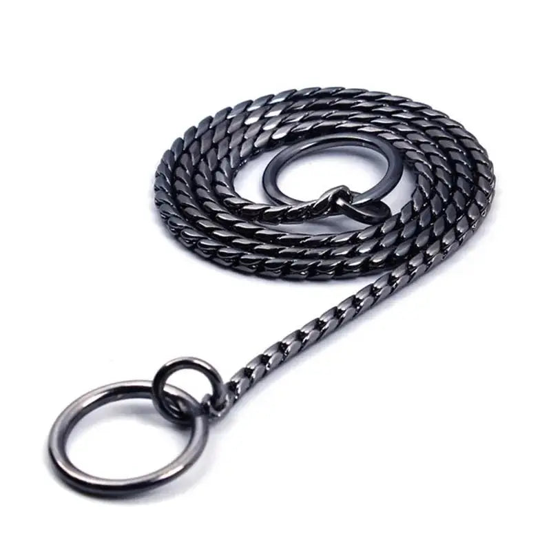 Copper Snake P Chain Dog Collar Small Puppy Large Dog Collar Necklace Choker Pet Training Supplies Slip Collar Gold Sliver Black - Nova Trendz