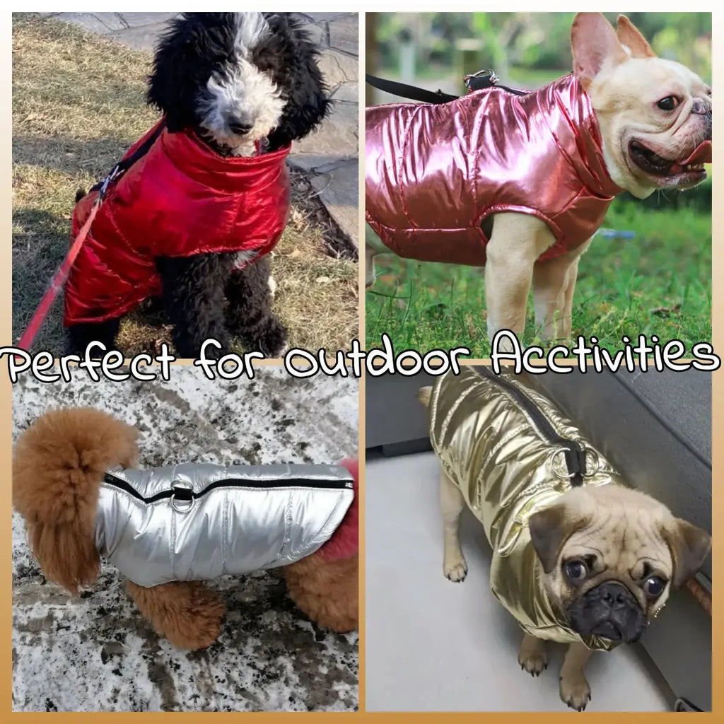 Warm Dog Clothes For Winter Outdoor Waterproof Pet Vest Coat For Small Medium Dogs High Neck Pets Jacket Chihuahua Bulldog Parka - Nova Trendz