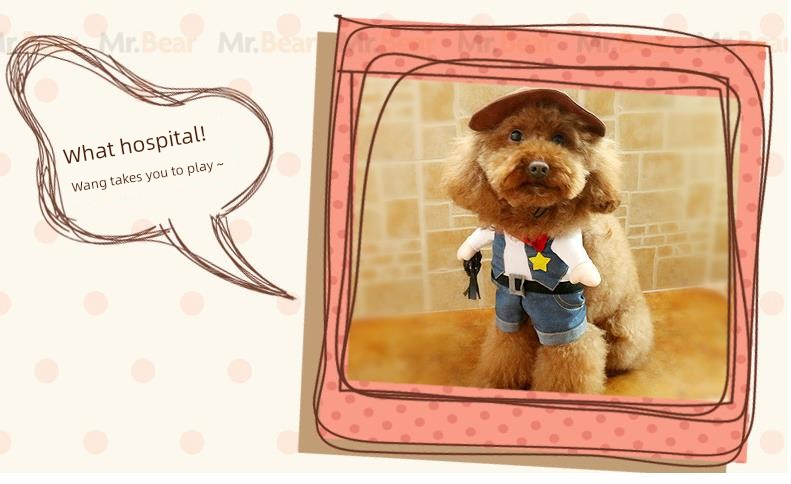 Cat Clothes Dog Clothes Teddy British Shorthair Pet Costume Funny Selling Cute Upright Pet Costume Spring and Summer Clothes Hot
