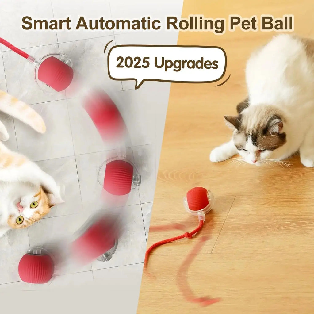 Cat Interactive Ball Toy, Automatic Rolling Ball with Tail, Rechargeable Smart Pet Interactive Toy, Intelligent Mouse for Cat - Nova Trendz