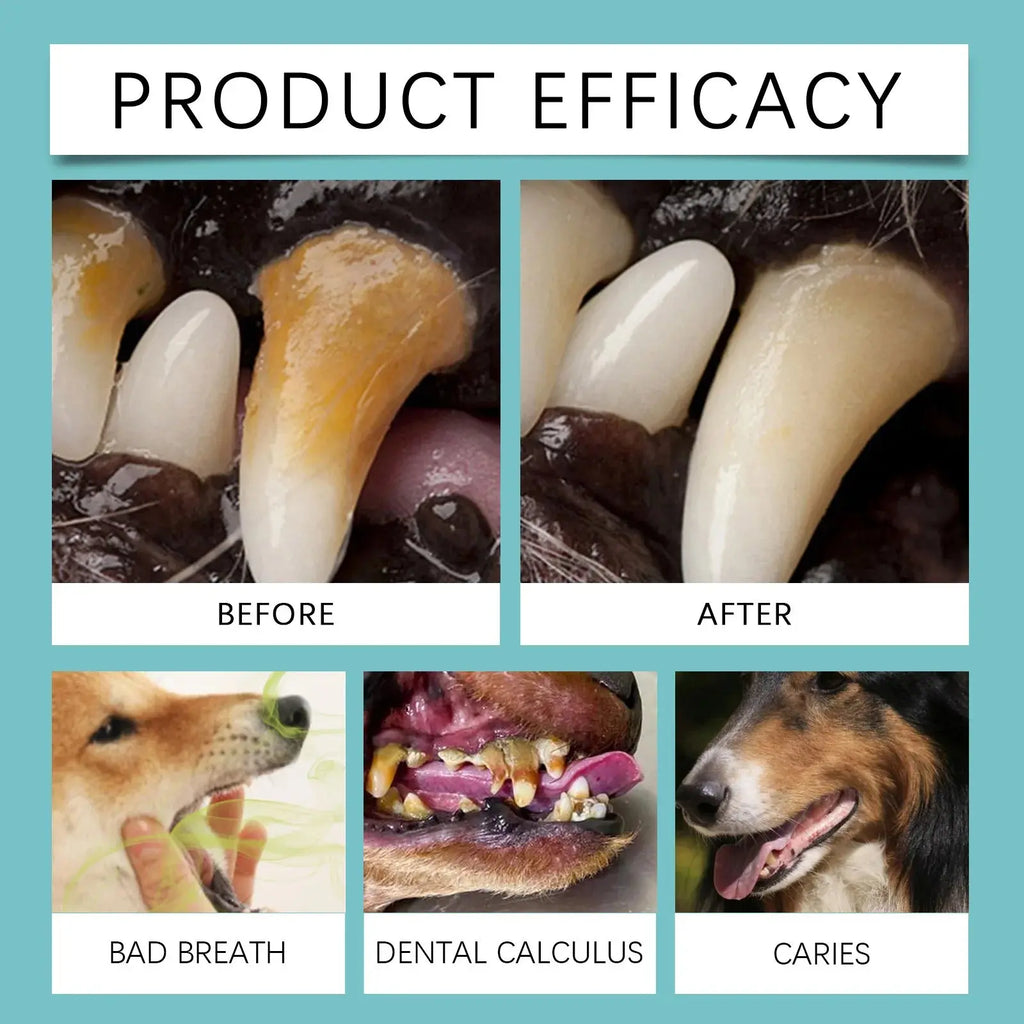 Disposable Pet Teeth Finger Cots Super Soft Tartar Removal Puppy Cat Dog Oral Care Toothbrush Cochlear Cleaning Finger Cover - Nova Trendz