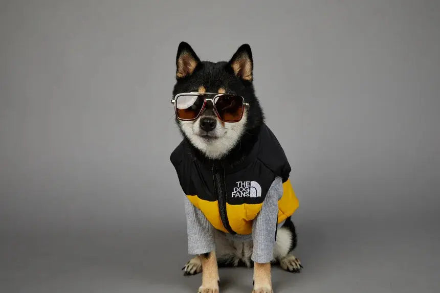 Autumn Winter Pet Dog Down Jacket Clothes for Small Medium Large Dogs Warm Thick Dog Vest French Bulldog Puppy Clothes - Nova Trendz